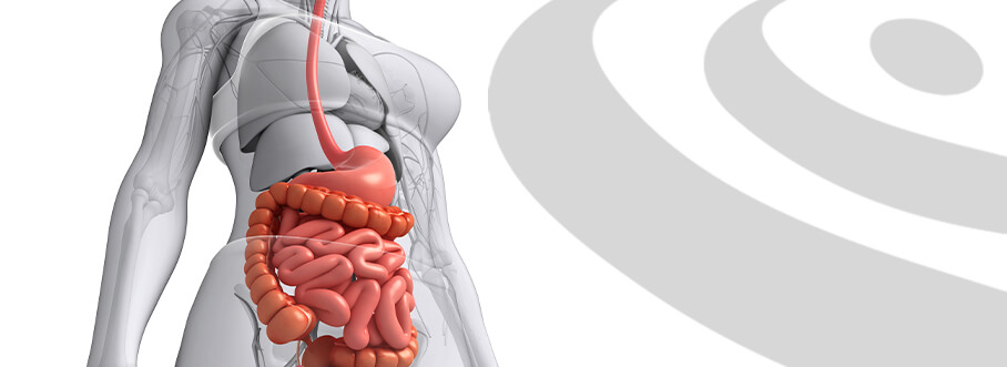 Imagem Gastroenterelogia